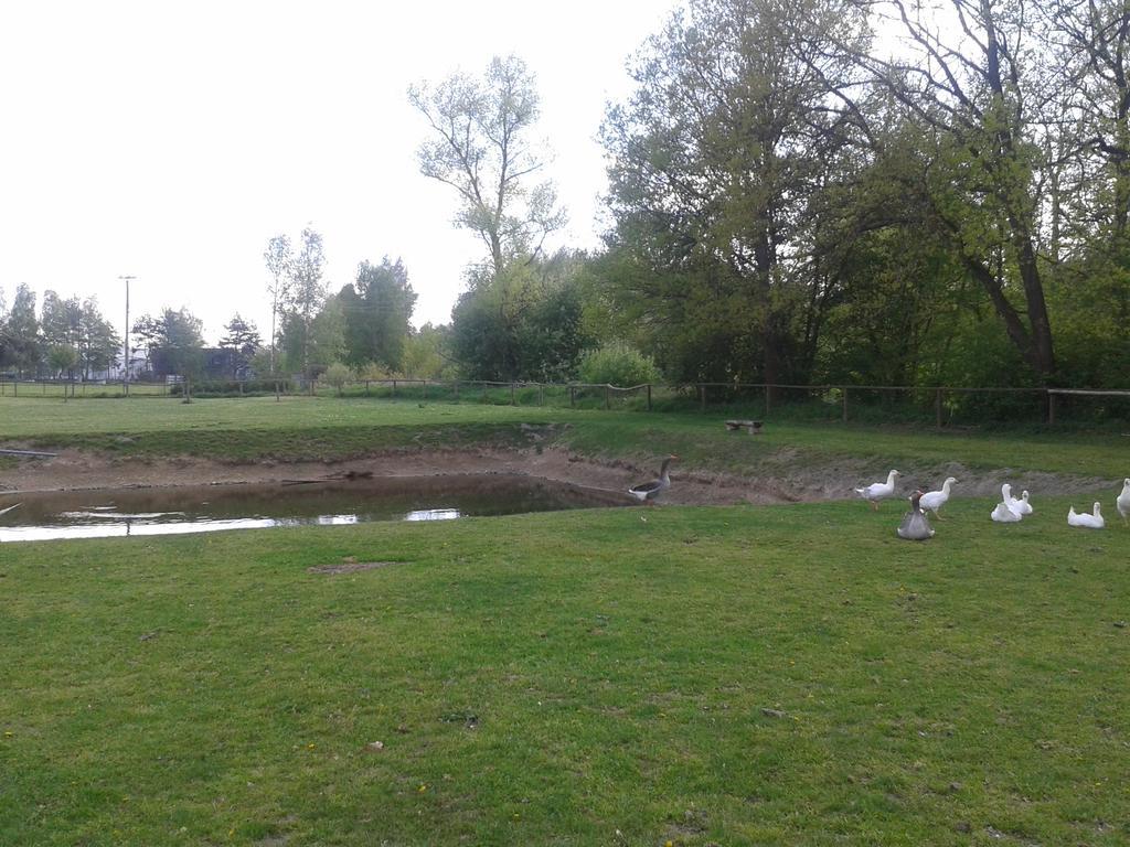 Chata Zahrada Madeta Veselí nad Lužnicí Exterior foto