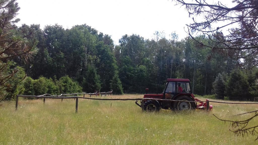 Chata Zahrada Madeta Veselí nad Lužnicí Exterior foto