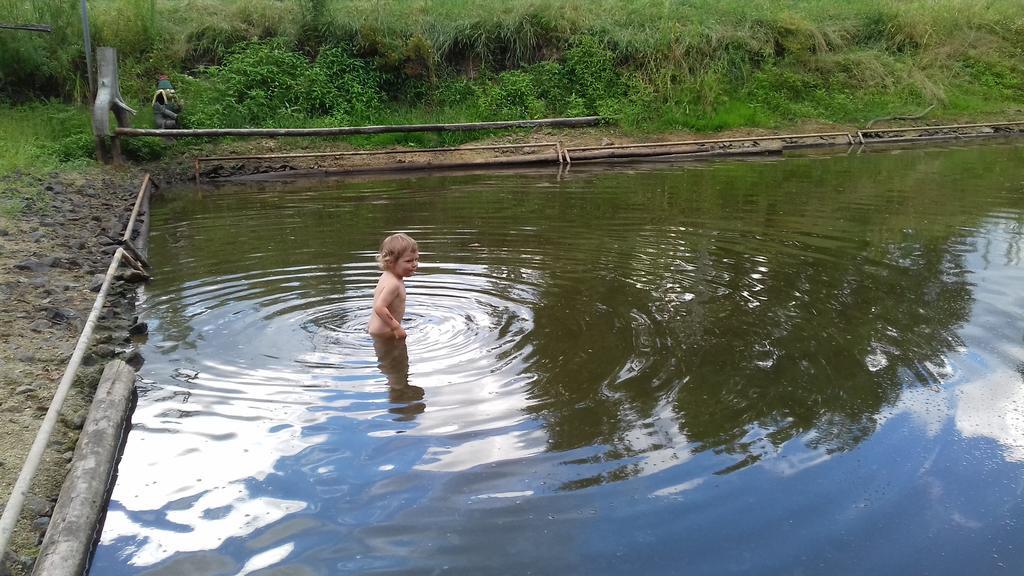 Chata Zahrada Madeta Veselí nad Lužnicí Exterior foto